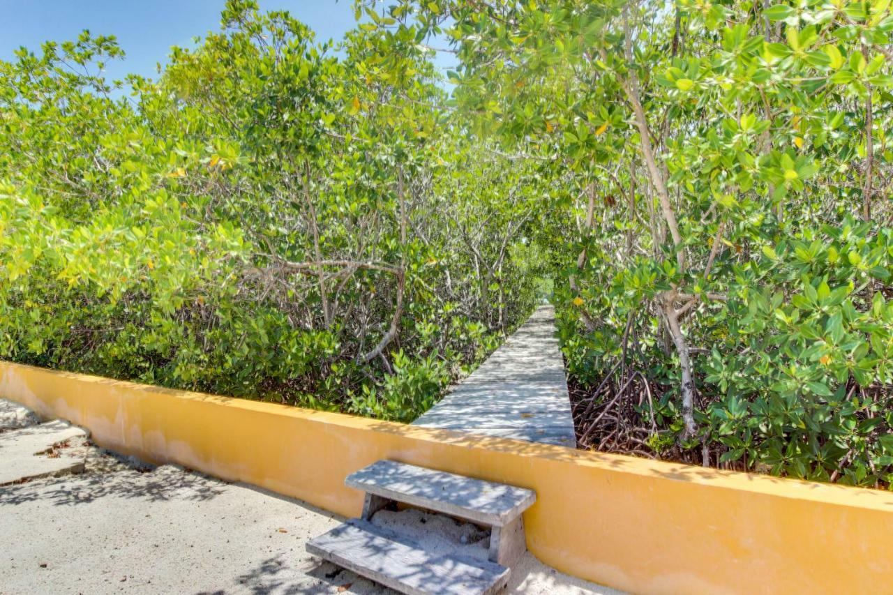 La Casa Pura Vida Villa San Pedro  Ngoại thất bức ảnh
